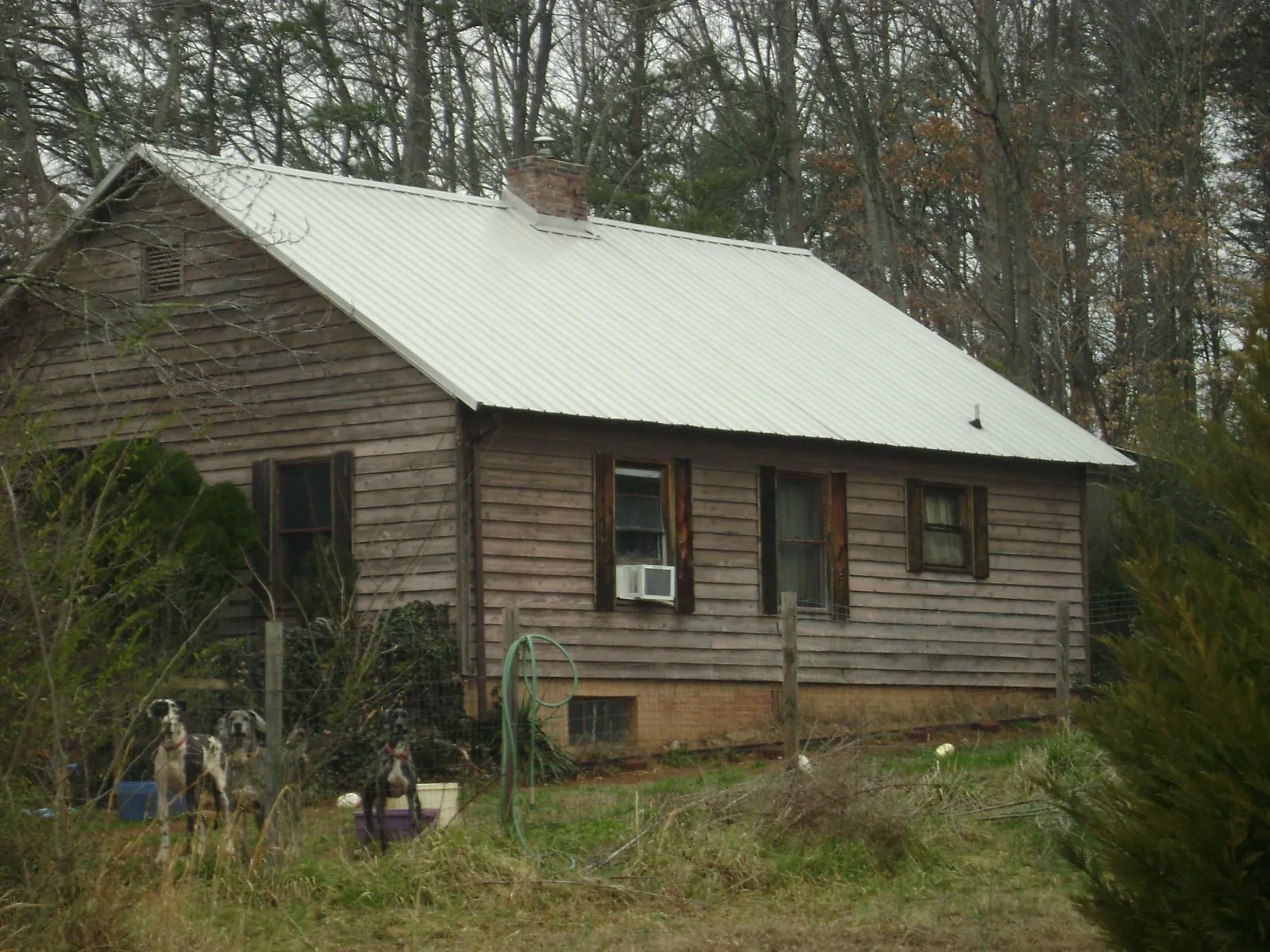 White metal roof on an old wood sided farmhouse, from a Asphalt Shingle Roof Repair job in Radcliffe